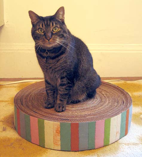 5 DIY Gifts for Cats, Because Cats Are People Too