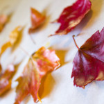 Autumn Crafts: Take the ephemeral beauty of autumn leaves and make it last forever when you preserve leaves with the one simple, natural ingredient that is pure beeswax.