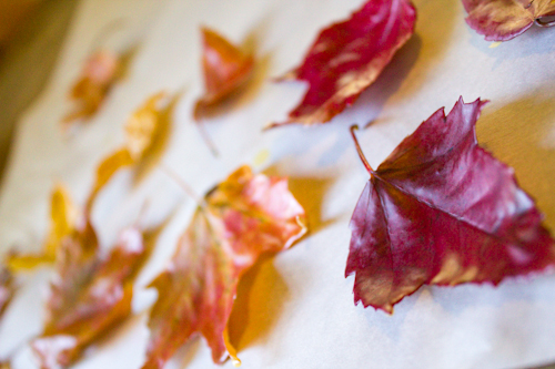 Autumn Crafts: Take the ephemeral beauty of autumn leaves and make it last forever when you preserve leaves with the one simple, natural ingredient that is pure beeswax.