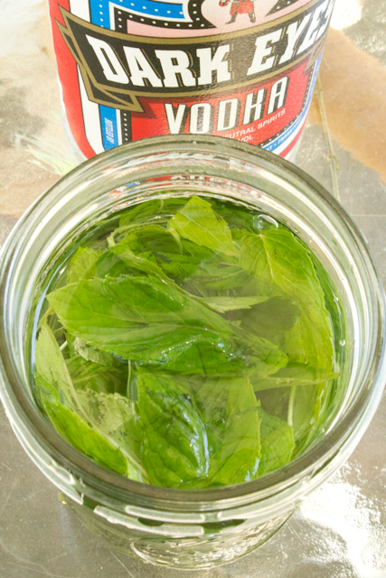 Read on to learn how to make as much of your own mint extract as you could ever want with our nearly effortless method!