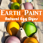Eco-Friendly Egg Dyeing