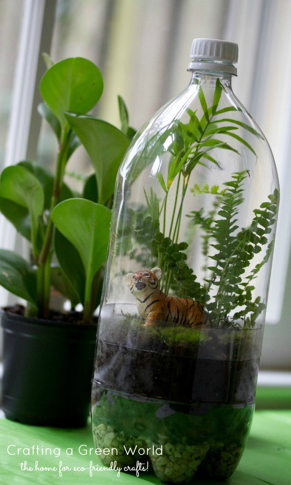 Earth Day Projects - Rainforest With Bottles