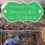 Rainy Day Activities: Nature Play Box
