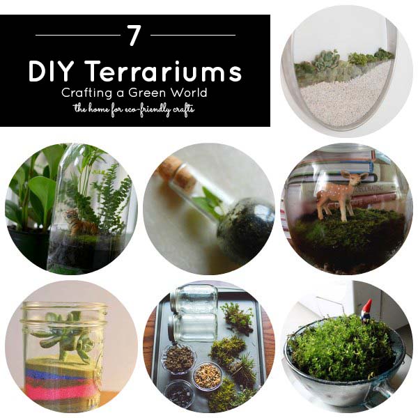 Sweet, Simple, DIY Terrariums