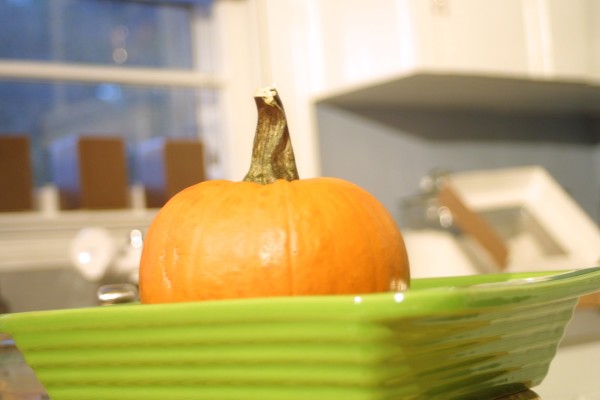 Thanksgiving Nature Crafts: How to Make Homemade Pumpkin Puree
