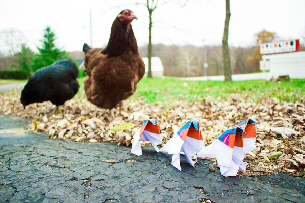 Fold the Flock Origami Passenger Pigeons