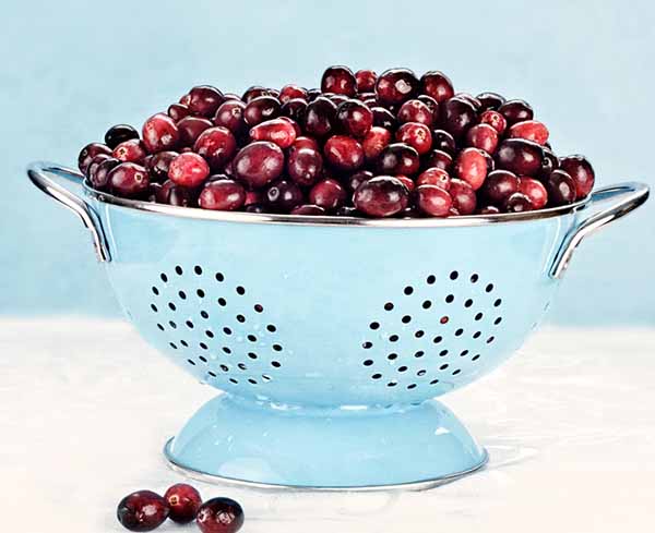 Thanksgiving Recipes: Making Cranberry Sauce from Scratch