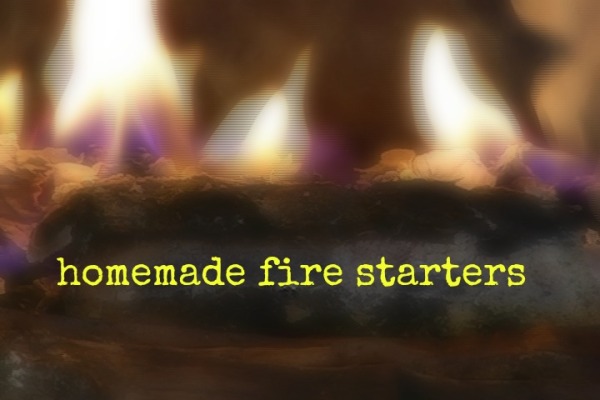 Make Homemade Fire Starters with Dryer Lint