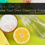 Learn why and how to make your own DIY cleaning products instead of buying them at the store with this handy visual guide!
