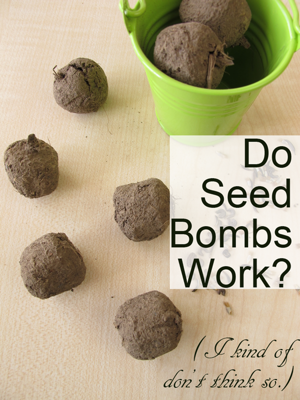 Do Seed Bombs Work?