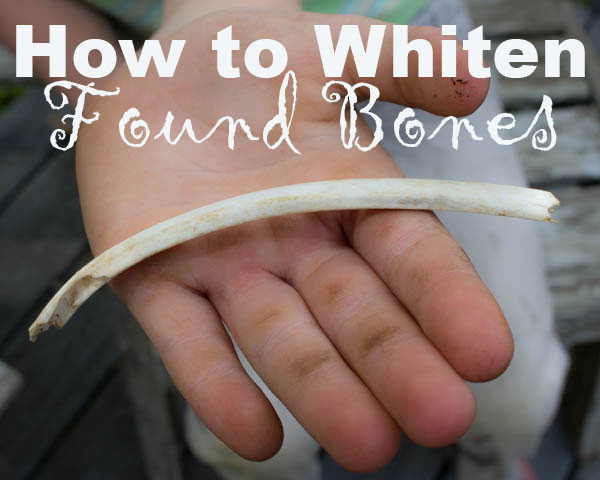 How to Whiten Found Bones