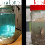 Ocean in a Bottle: Witness my Epic Pinterest Fail!
