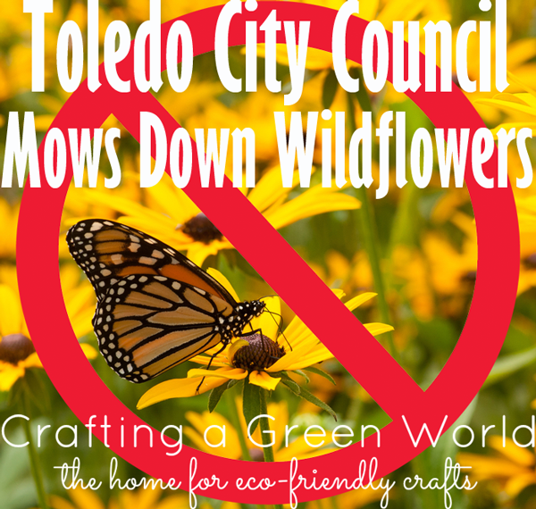 Toledo City Council Mows Down Wildflowers
