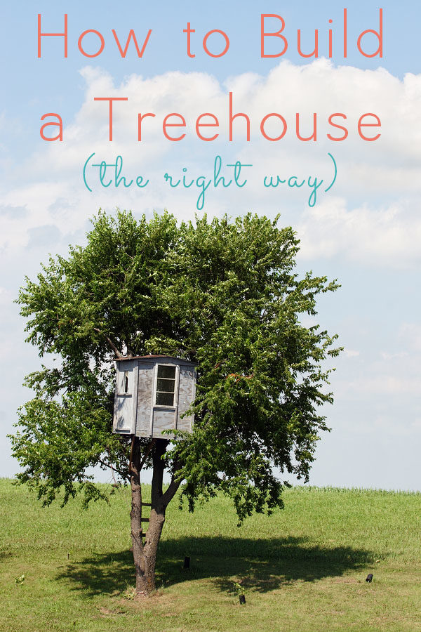 Learn the proper methods to build a treehouse that is safe and sound for you and the tree, plus actual, doable treehouses you can build!