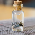 How to Make a Treasure in a Bottle Charm