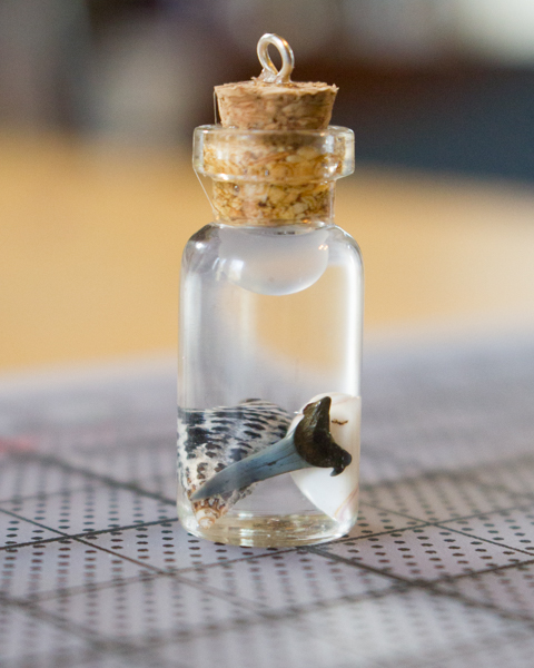 How to Make a Treasure in a Bottle Charm