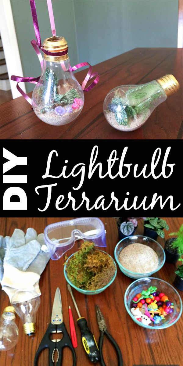 Are you ditching incandescents this year? Save those old bulbs and make yourself a cute lightbulb terrarium!