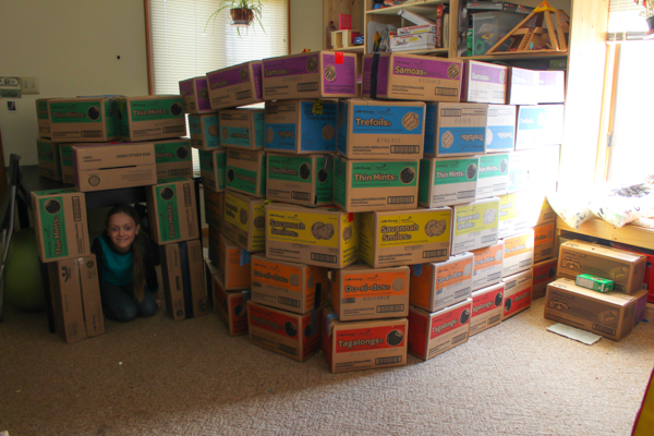 Here are some crafty ways to reuse Girl Scout Cookie Cases and other packing boxes!