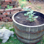 Upcycled Planters - Whiskey Barrel
