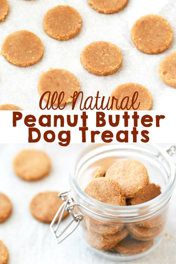 dog treats via Simply Being Mommy