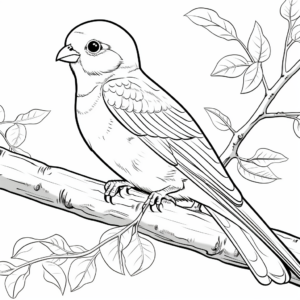 kid-friendly colorful parakeet audubon pages coloring page