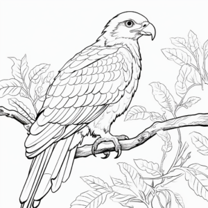 scenic audubon eagle coloring pages coloring page