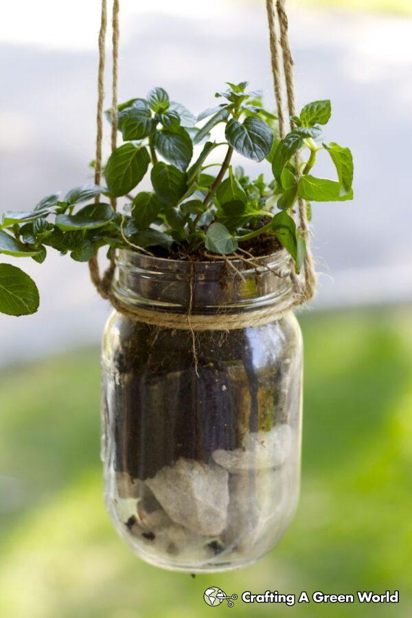 Mason jar planter via Ramshackle Glam