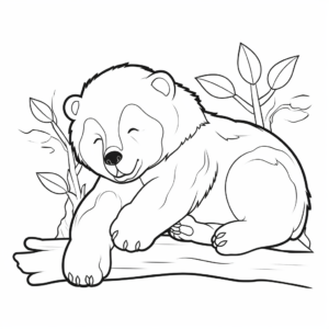 A Sleeping Sun Bear Coloring Pages 4