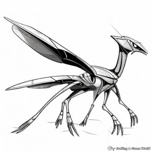 Abstract Dimorphodon Coloring Pages for Adults 2