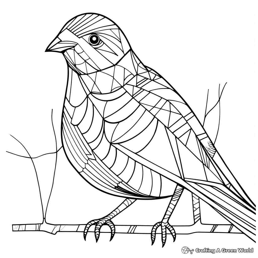 Abstract Pigeon Coloring Sheets for Artists 3