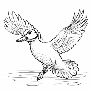 Action-Oriented Flying Wood Duck Coloring Pages 2