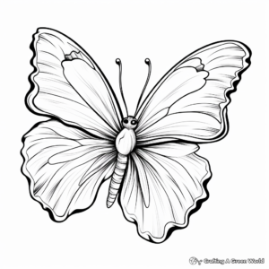 Action-Packed Butterfly and Hibiscus Flower Coloring Pages 4