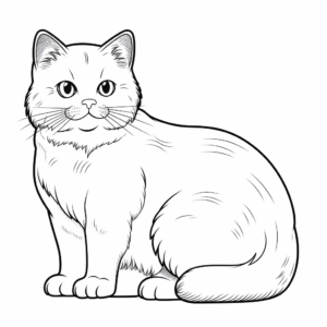 Adorable British Shorthair Coloring Pages 4