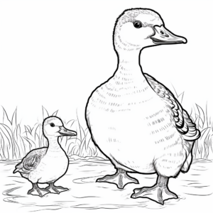 Adult Kookaburra and Chick Coloring Pages 1