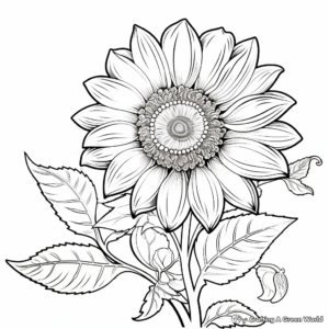 Advanced Sunflower Coloring Pages for Adults 2