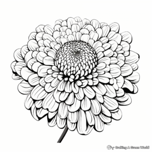 Aesthetically Pleasing Chrysanthemum Coloring Pages 2