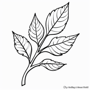Alder Leaf Coloring Pages for Fall-themed Art 3
