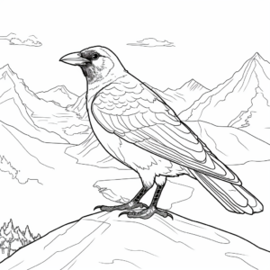 Alpine Chough Crow Coloring Pages for Mountain Enthusiasts 2