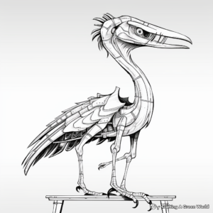 Anatomical Study of Deinonychus: Coloring Pages for Students 3