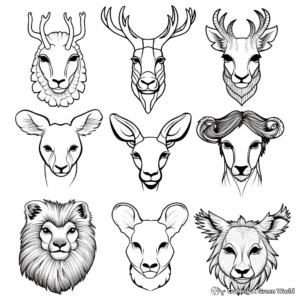 Animal Heads Coloring Pages: Wildlife Extravaganza 4