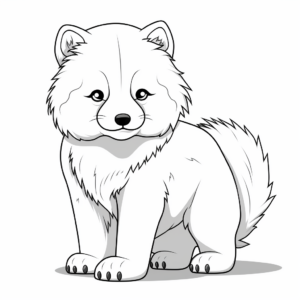 Arctic Fox in Different Seasons Coloring Pages 3