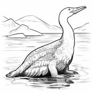 Arctic Loon Coloring Pages for Creative Minds 2