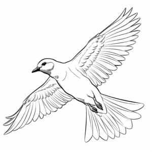 Arctic Tern Migration Coloring Pages 4