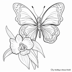Artistic Abstract Butterfly and Orchid Coloring Sheets 2