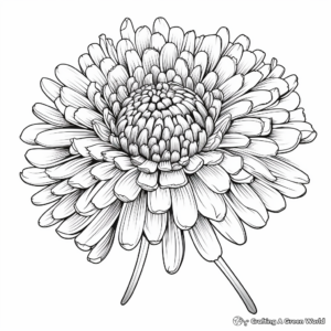 Artistic Chrysanthemum Flower Coloring Pages 1