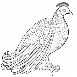 Artistic Lady Amherst's Pheasant Coloring Pages 2
