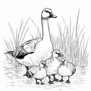 Artistic Stylized Canada Geese Coloring Pages 4