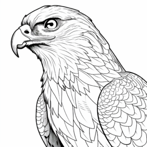 Artistic Stylized Red Tailed Hawk Coloring Pages 1