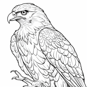 Artistic Stylized Red Tailed Hawk Coloring Pages 3