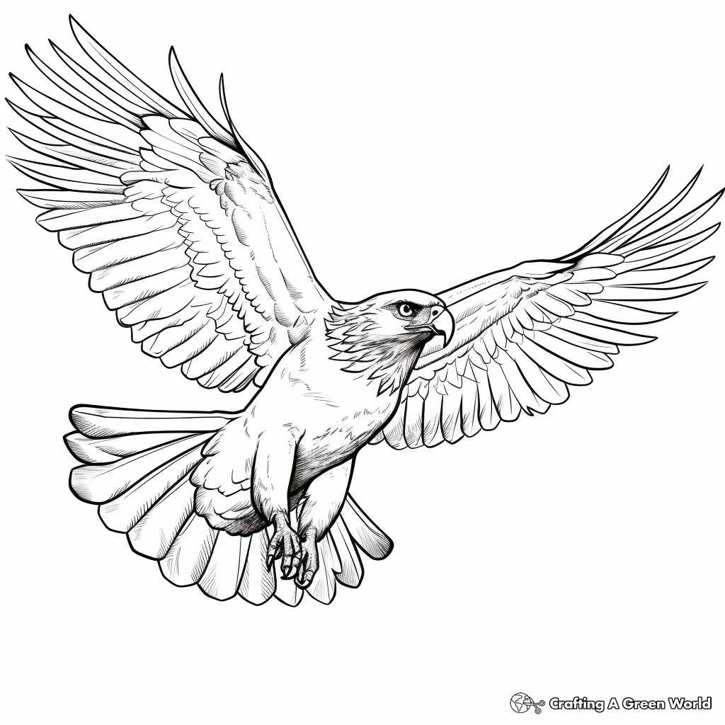 Artistic Stylized Red Tailed Hawk Coloring Pages 4